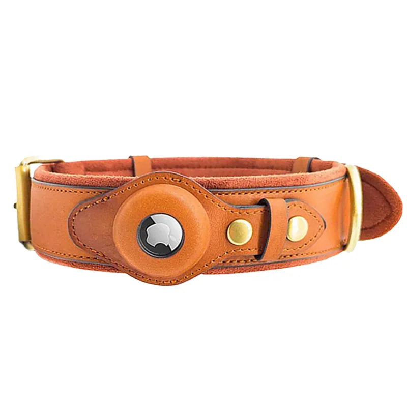 HaloTrack Collar image 8