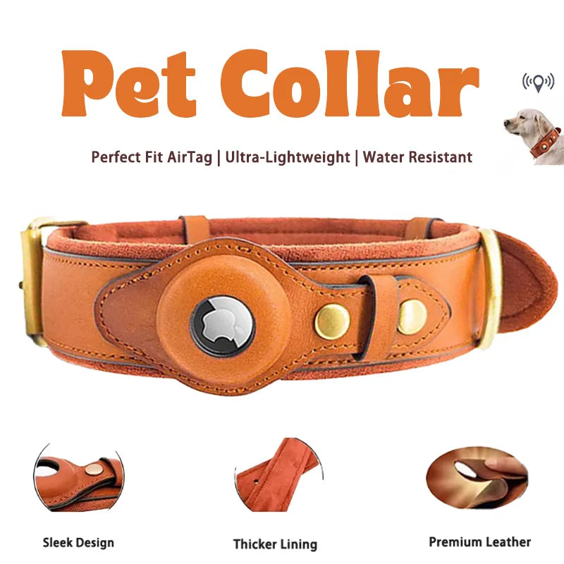 HaloTrack Collar image 3