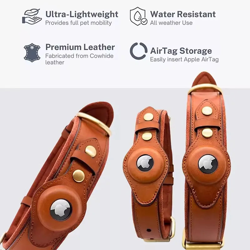 HaloTrack Collar image 7