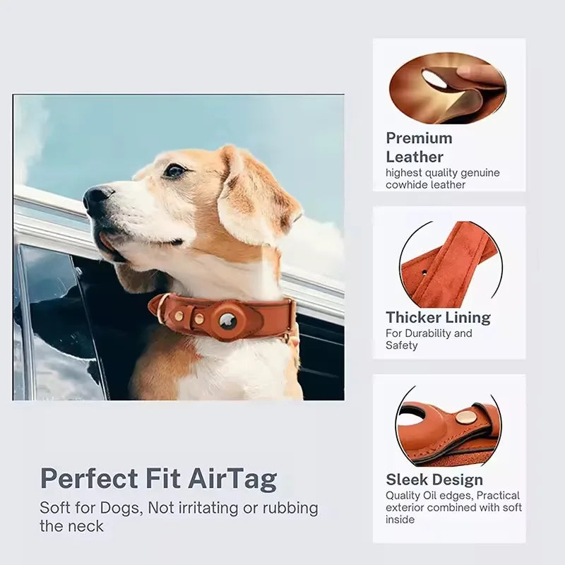 HaloTrack Collar image 6