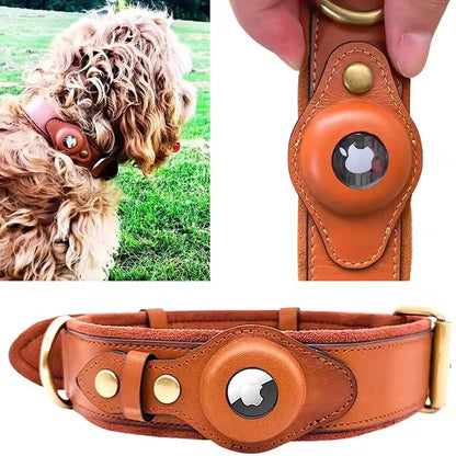 HaloTrack Collar image 4