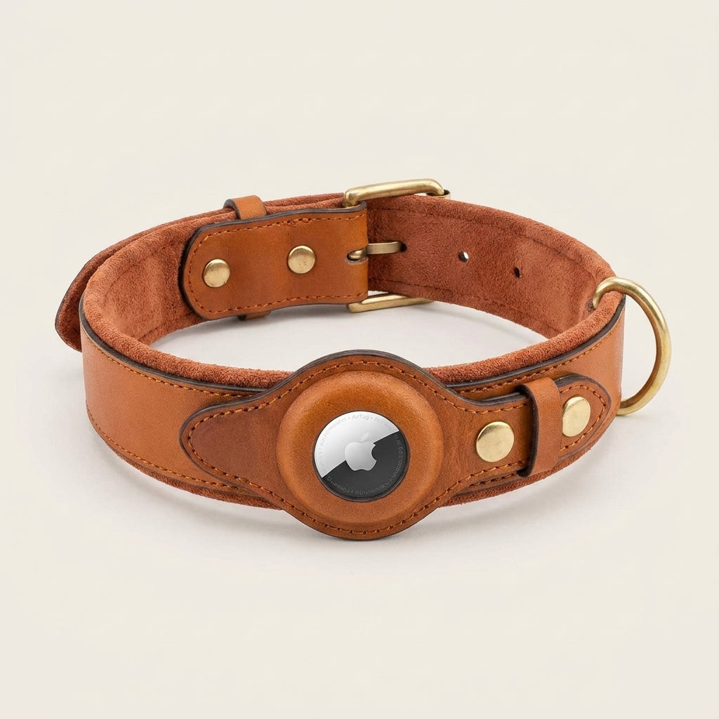 HaloTrack Collar image 1