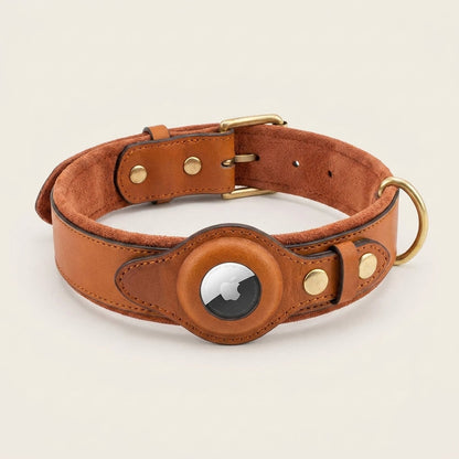 HaloTrack Collar