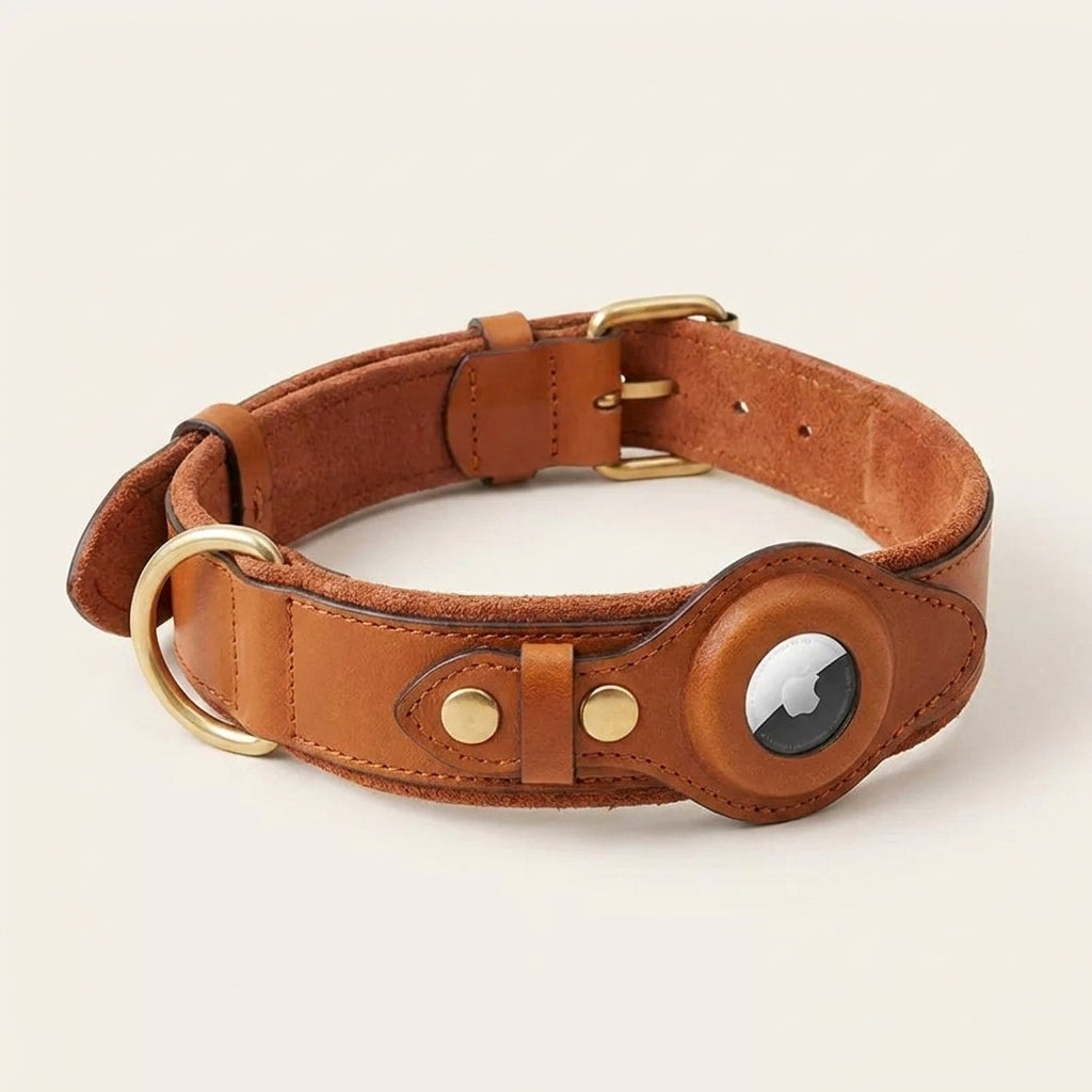 HaloTrack Collar image 2